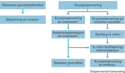 Figur 1  Skjematisk oversikt over fertilitetsbevarende metoder for prepubertale jenter og kvinner som ikke kan utsette&hellip;