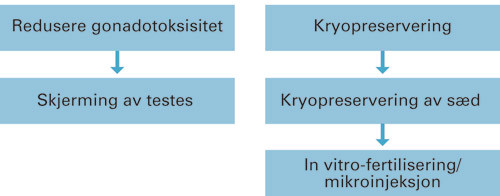 Figur 2  Skjematisk oversikt over fertilitetsbevarende metoder for voksne menn som produserer s&aelig;dpr&oslash;ver