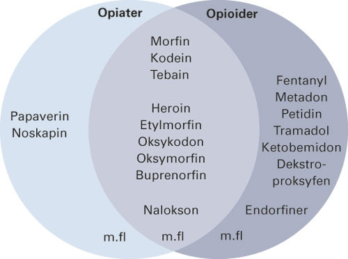 Figur 2  Opiat og opioid er delvis overlappende begreper