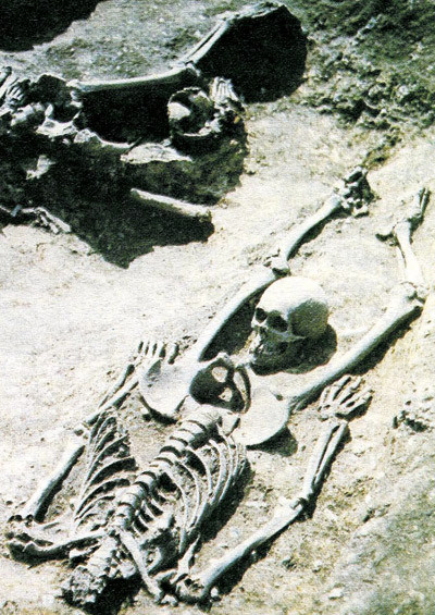 Sj&aelig;llandsk begravelse fra f&oslash;rste halvdel av 1000-tallet. Personen er halshugd og hodet lagt mellom beina. Illustrasjon fra&hellip;