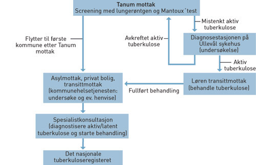 Figur 1  Screening av asyls&oslash;kere for tuberkulose. Dette var flyten ved unders&oslash;kelsestidspunktet