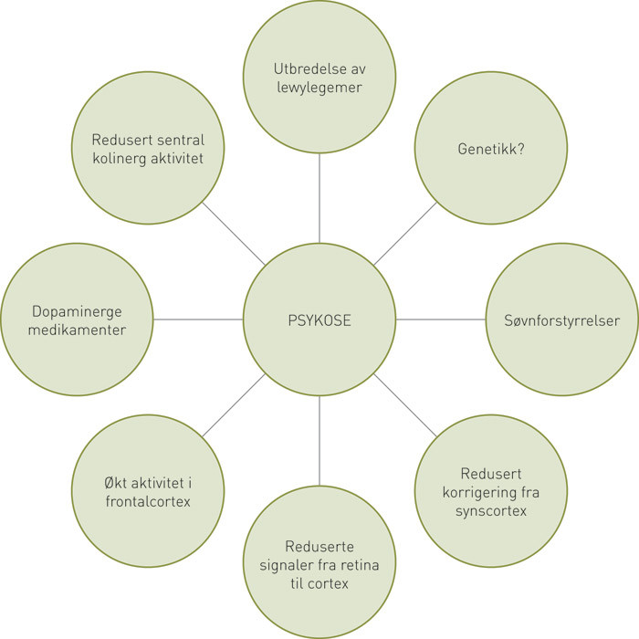 Figur 1  Ulike forklaringsmodeller for psykose ved Parkinsons sykdom