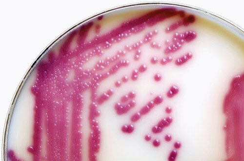 Illustrasjonsfoto Istockphoto