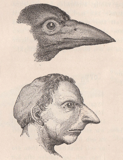 Fig. 2.  Fysiognomi under p&aring;virking av fj&aelig;re m&aring;l. Alpin type.