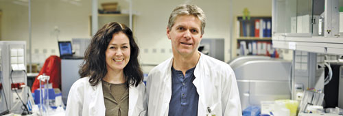 Overlege Torunn Fiskerstrand og professor Per Knappskog, henholdsvis f&oslash;rste- og sisteforfatter p&aring; artikkelen. Foto &Oslash;yvind&hellip;