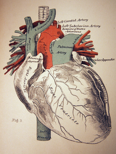 Illustrasjonsfoto thinkstockphoto