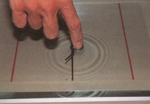 Figur 7  Blodiglene ble sluppet ved den sorte midtstreken. I fors&oslash;kets f&oslash;rste del registrerte vi deres spontane vandring mot&hellip;