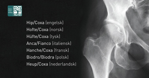 Illustrasjonsfoto Istockphoto