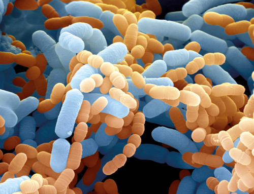 Illustrasjonsfoto Science Photo Library/NTB scanpix