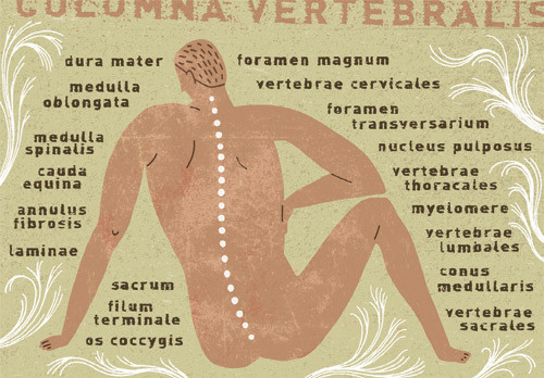 illustrasjon Svein St&oslash;rksen