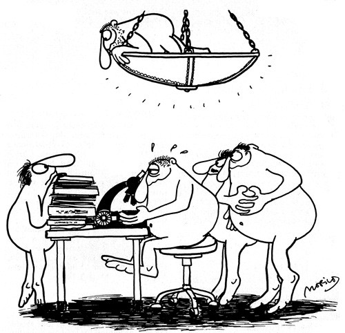 Mot slutten av et st&oslash;rre vitenskapelig arbeide blir forskeren ofte gjenstand for en ustyrtelig grad av oppmerksomhet fra&hellip;