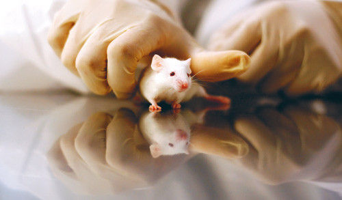 Illustrasjonsfoto Istockphoto