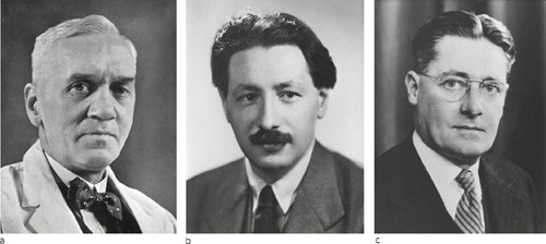 Figur 3  I 1945 fikk disse tre nobelprisen i fysiologi eller medisin for oppdagelsen av penicillinet. a) Britiske Alexander&hellip;