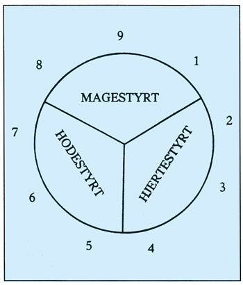 Figur 1  Plassering av de ni legetyper i enneagrammet