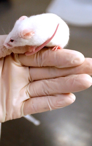 Illustrasjonsfoto Istockphoto