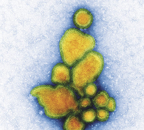 Illustrasjonsfoto Science Photo library/NTB scanpix