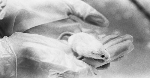 Illustrasjonsfoto &copy; Ed Eckstein/CORBIS/NTB scanpix