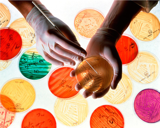 Illustrasjonsfoto: Science Photo Library/NTB scanpix