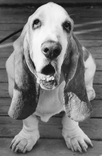 Illustrasjonsfoto: NTB scanpix