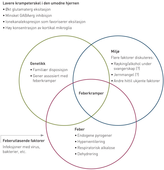Figur 1  Mulige etiologiske og patogenetiske faktorer ved feberkramper. Feberkramper er ofte et resultat av et samspill av&hellip;
