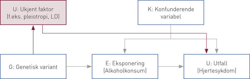 Figur 2  Det er viktig at den genetiske varianten bare virker p&aring; utfallet gjennom eksponeringen. Den rettede asykliske&hellip;