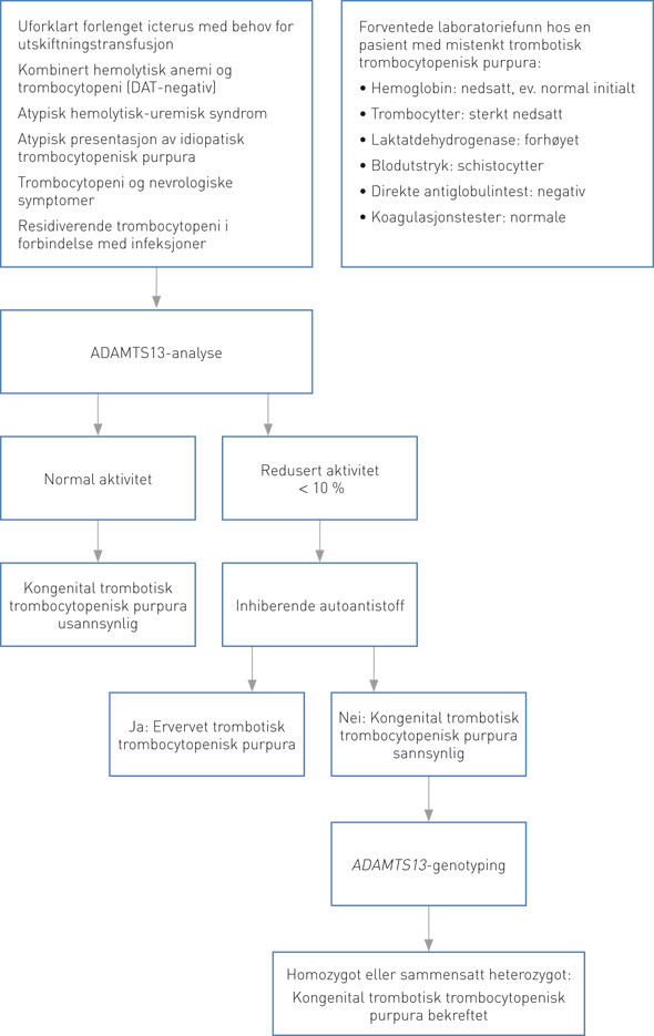 Figur 2 Tilstander som b&oslash;r lede til utredning med tanke p&aring; kongenital trombotisk trombocytopenisk purpura,med algoritme for&hellip;