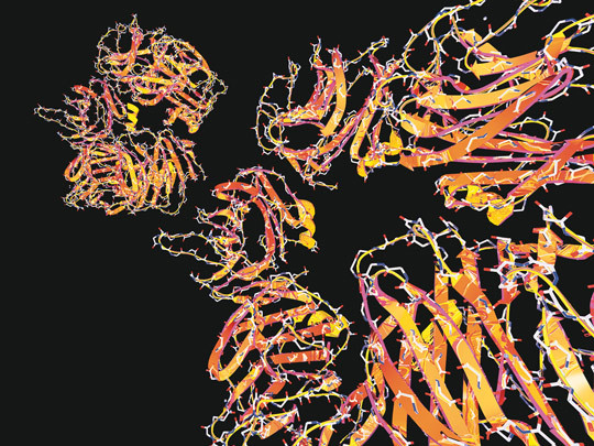 Digital illustrasjon av C-reaktivt protein. Foto: Science Photo Library