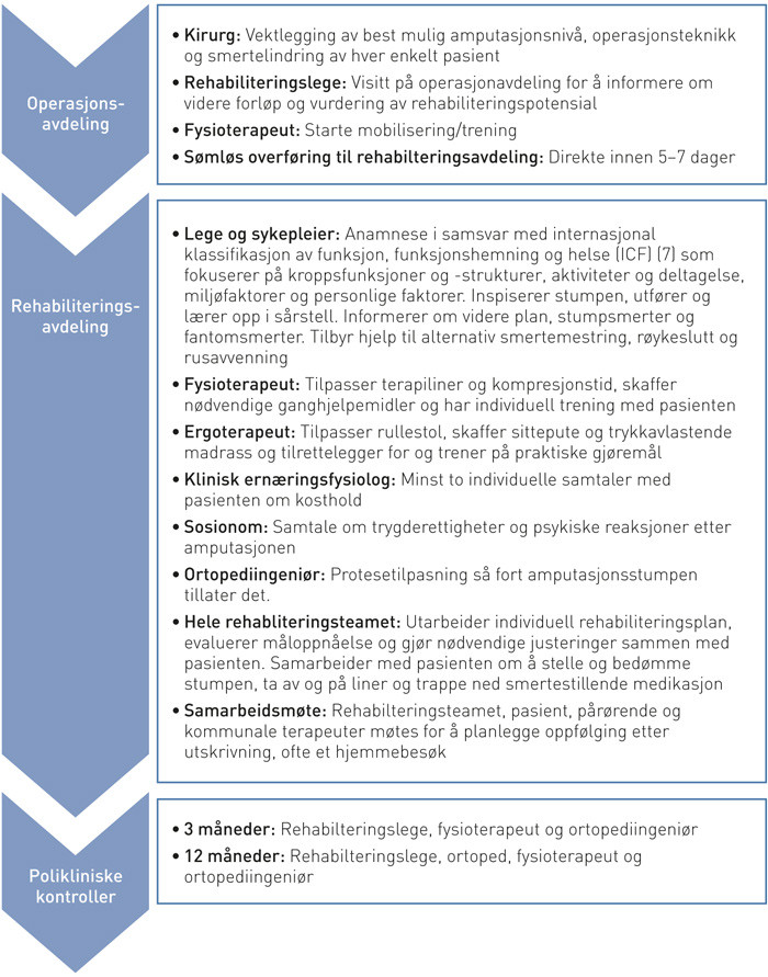 Figur 2  Behandlingslinjen for benamputerte ved S&oslash;rlandet sykehus
