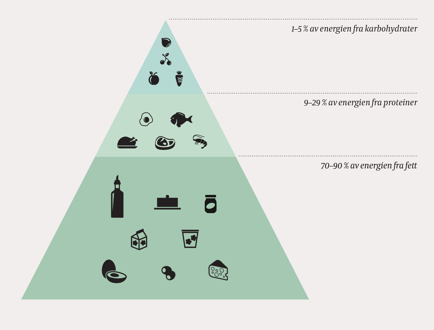 Figur 1 Den ketogene kostpyramiden viser hovedgruppene av matvarer som brukes ved ketogen diett slik dietten praktiseres ved&hellip;