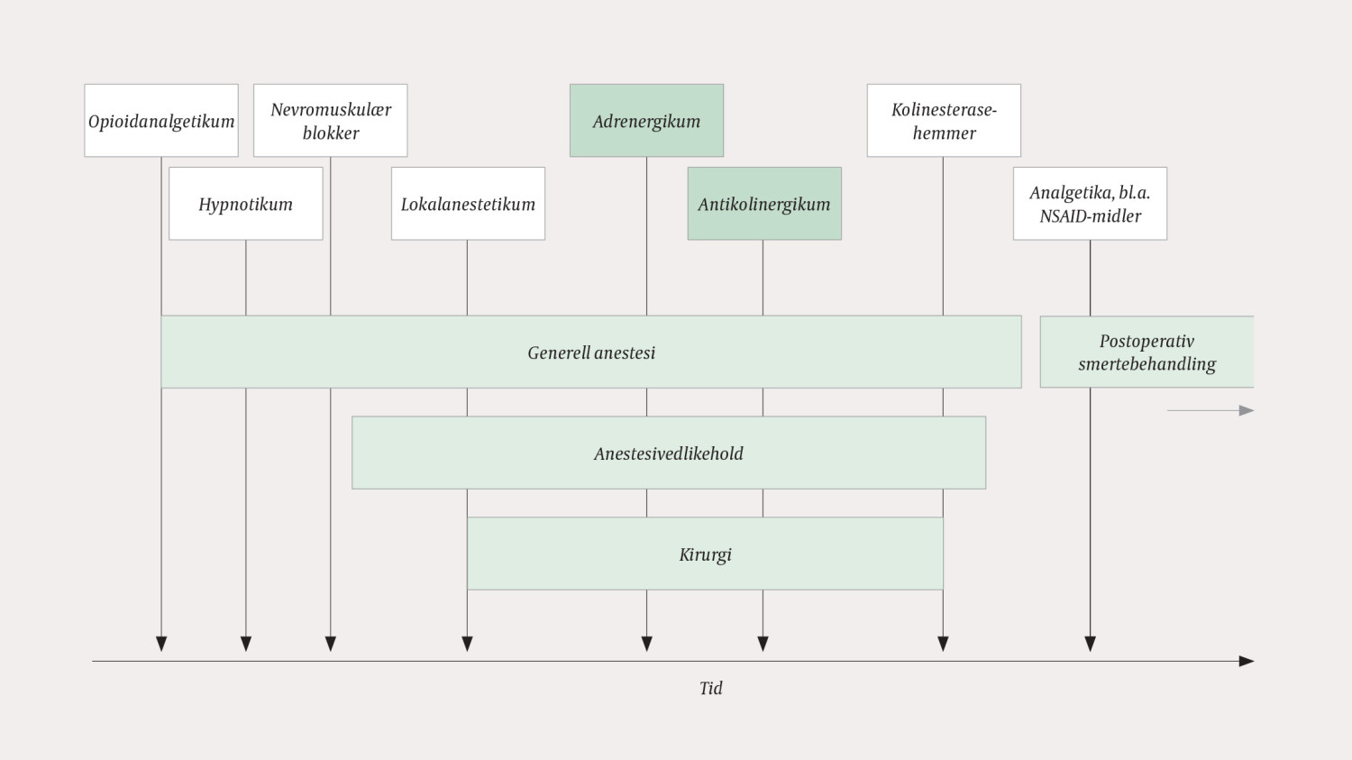 Figur 1 Eksempel p&aring; tidsforl&oslash;p ved en generell anestesi og rekkef&oslash;lgen av legemiddelgruppene som gis underveis. De&hellip;