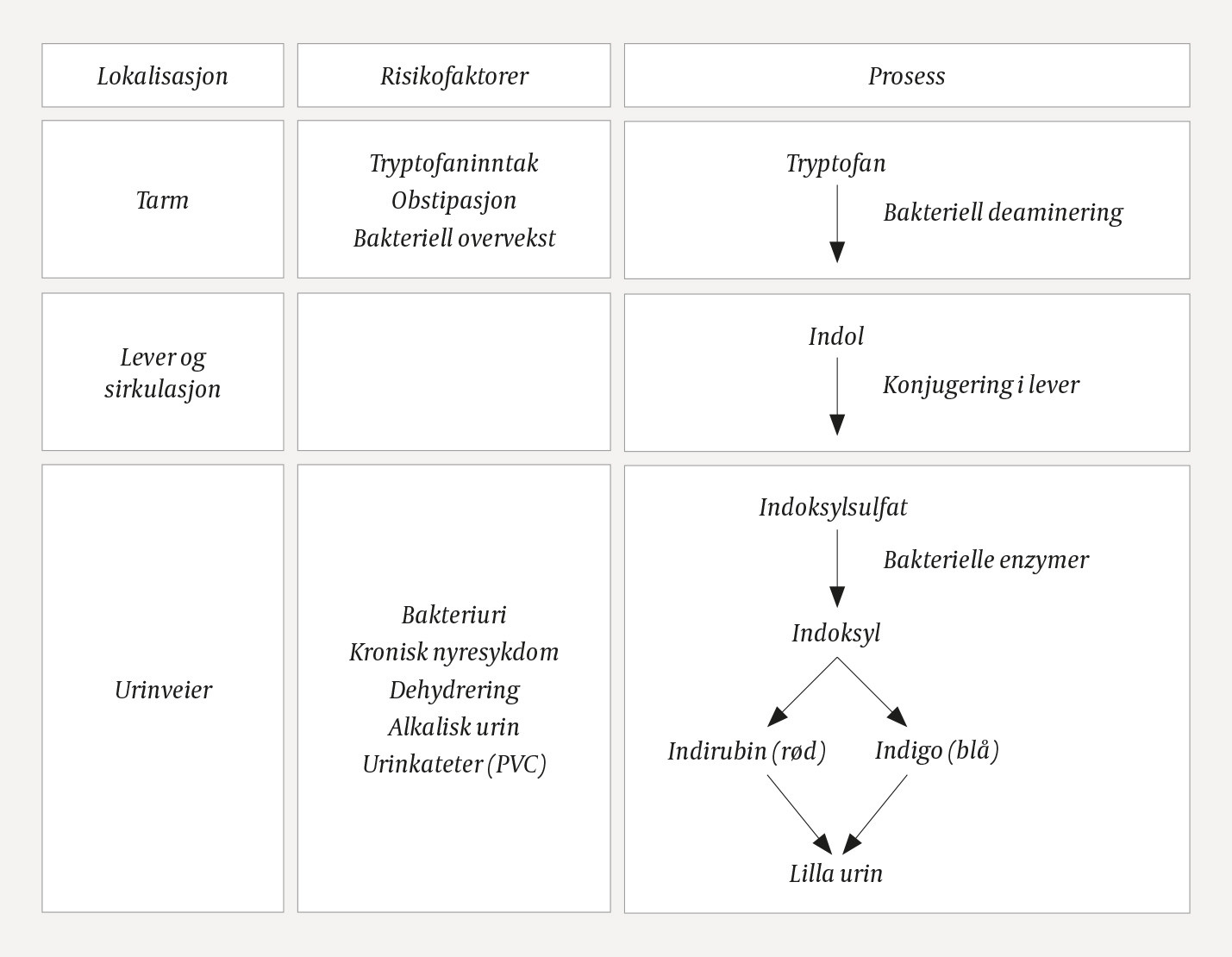 Figur 2 Stegene i utvikling av lilla urinpose-syndrom (LUPS). Figuren er omarbeidet etter Kalsi og medarbeidere (3).