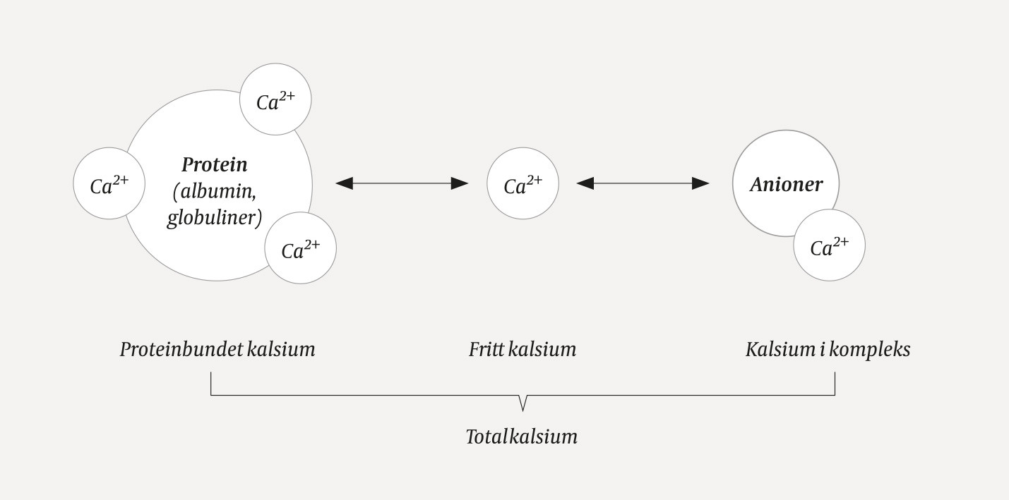 Figur 1 Fordeling av kalsium i plasma.
