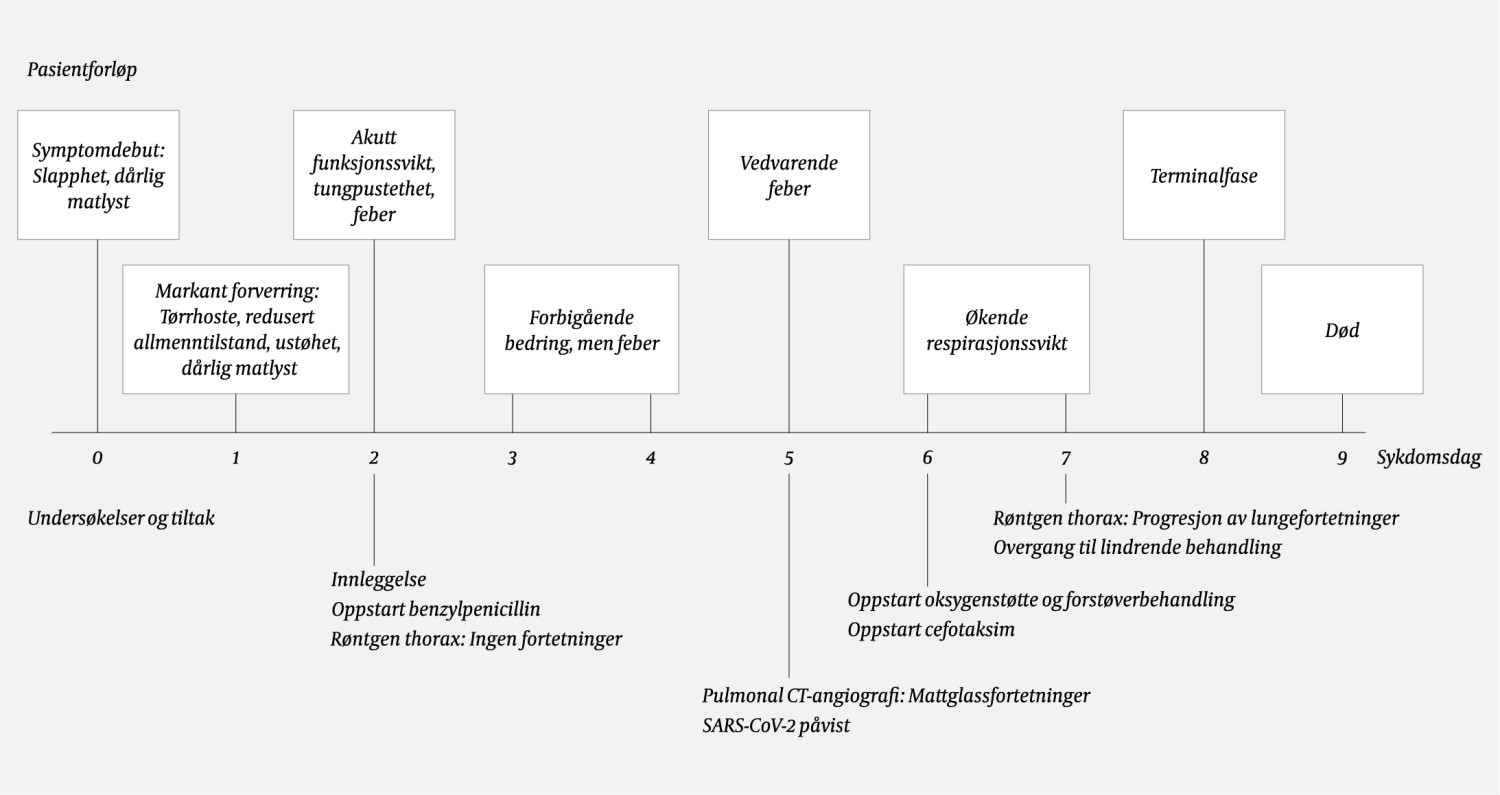 Figur 3 Pasientens sykdomsforl&oslash;p