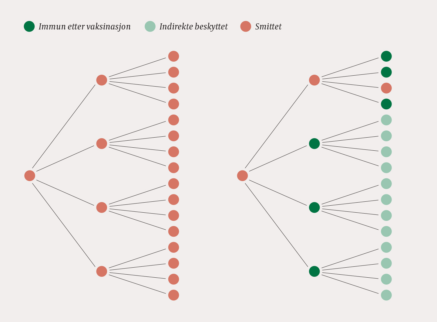 Figur 1 Smittespredning ved basalt reproduksjonstall 4 n&aring;r ingen er immune (til venstre), og n&aring;r andelen immune er 75 % (til&hellip;