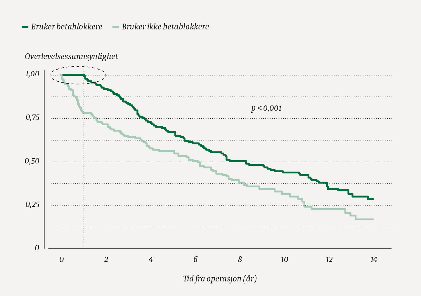 Figur 1 Kaplan-Meier-kurver for simulerte levetider til to grupper kolorektalpasienter, inspirert av (4).