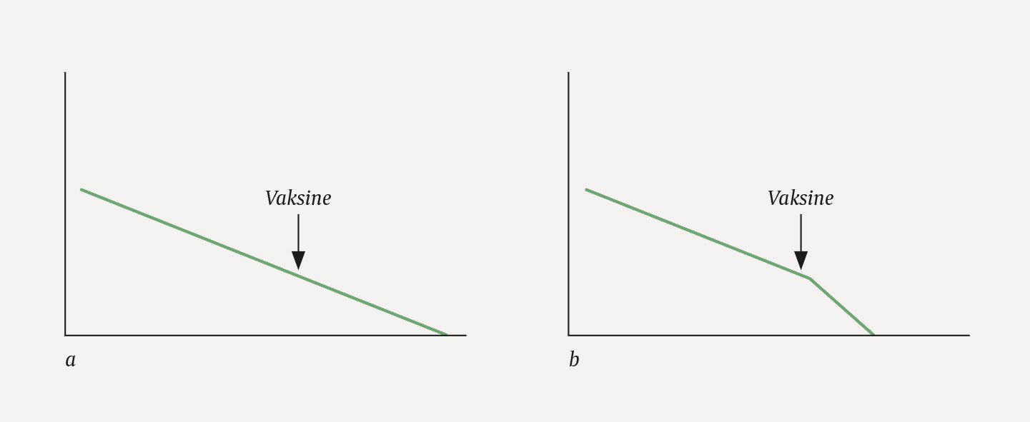 Figur 1 Teoretisk sammenheng mellom d&oslash;dsprosess og vaksinering, sterkt skjematisert. X-aksen illustrerer tiden og Y-aksen&hellip;