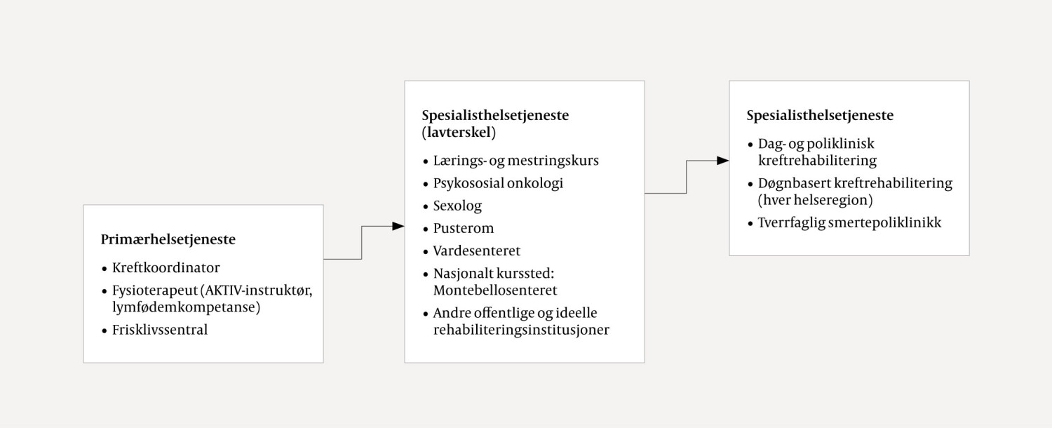 Figur 1 Tilbud til brystkreftoverlevere. Trinn 1 er prim&aelig;rhelsetjenesten, trinn 2 og 3 spesialisthelsetjenesten. Tilbudene&hellip;