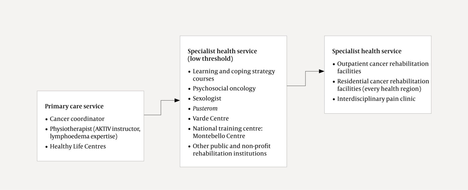 Figure 1 Provision for breast cancer survivors. Stage 1 is the primary care service, stages 2 and 3 the specialist health&hellip;