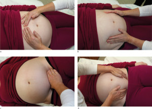 Leopolds fire h&aring;ndgrep: a) f&oslash;rste h&aring;ndgrep, b) andre h&aring;ndgrep, c) tredje h&aring;ndgrep, d) fjerde h&aring;ndgrep. Figur fra boken