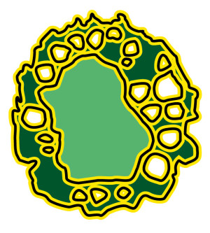 Illustrasjoner: Hilde Lorentzen / Tidsskriftet