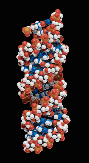 mRNA. Illustrasjon: Science Photo Library