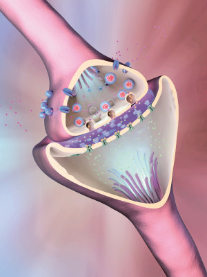 Illustrasjon: Science photo library / NTB Scanpix
