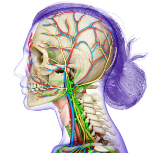 Illustrasjonsfoto: sankalpmaya / iStock