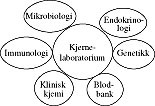  Figur 3    Modell av det integrerte laboratorium. Enheter for mikrobiologi, immunologi, klinisk kjemi, blodbank, genetikk&hellip;
