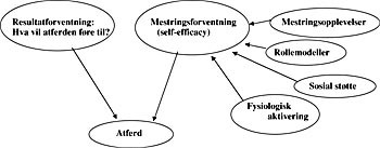 Figur 2  Mestringsforventning (self-efficacy) (9)