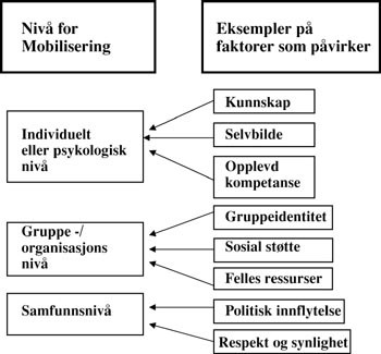 Figur 4  Ulike niv&aring;er av mobilisering (empowerment)