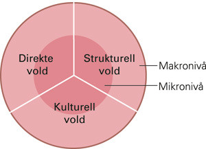 Figur 1  Figuren viser en modell for ulike voldstyper og -niv&aring;er.