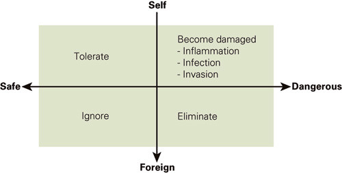 Figure 2  In the polarisation between &laquo;self&raquo; and &laquo;foreign&raquo; and the continuum of experience from &laquo;safe&raquo; to &laquo;dangerous&raquo; the&hellip;