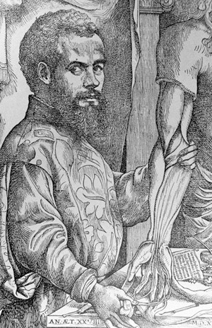 Figure 4  Andreas Vesalius as he was portrayed in a woodcut from 1542. This was used as the title page of his great&hellip;