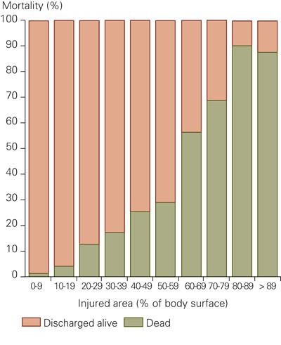 Figure 4  Mortality by injured skin area